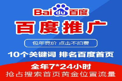 百度SEO推广策略案例：一家公司的成功转型之路